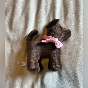 American girl Chocolate Chip Labrador puppy